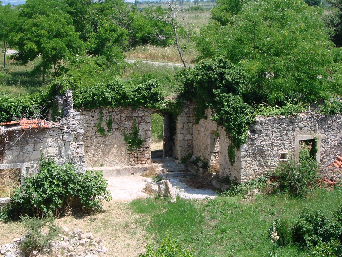 Image description